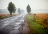 Droga krajowa wśród płaskich mazowieckich pól jesienią, w drodze z Warszawy w stronę Sochaczewa